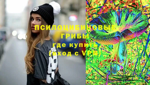 дживик Алзамай