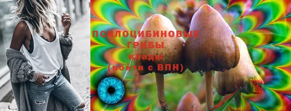 стафф Алексеевка